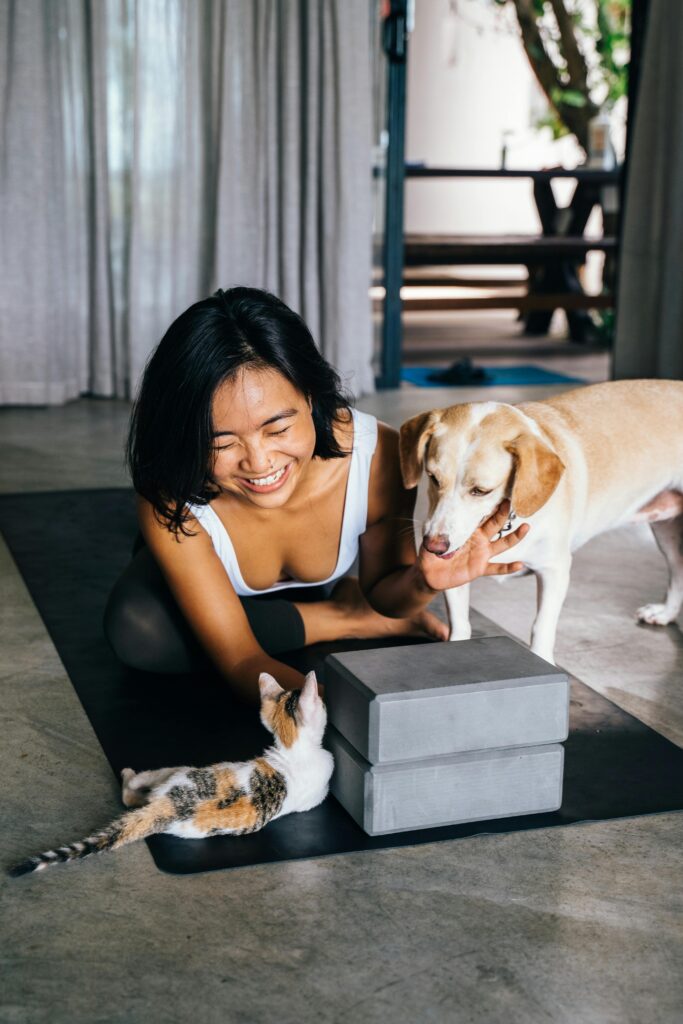 5 Gift Ideas for Pet Owners (That Are Actually Useful)