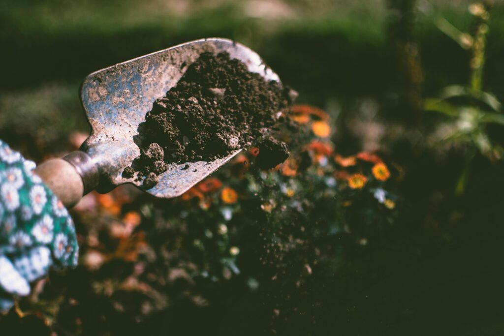 7 Outdoor Gifts for Gardeners This Summer