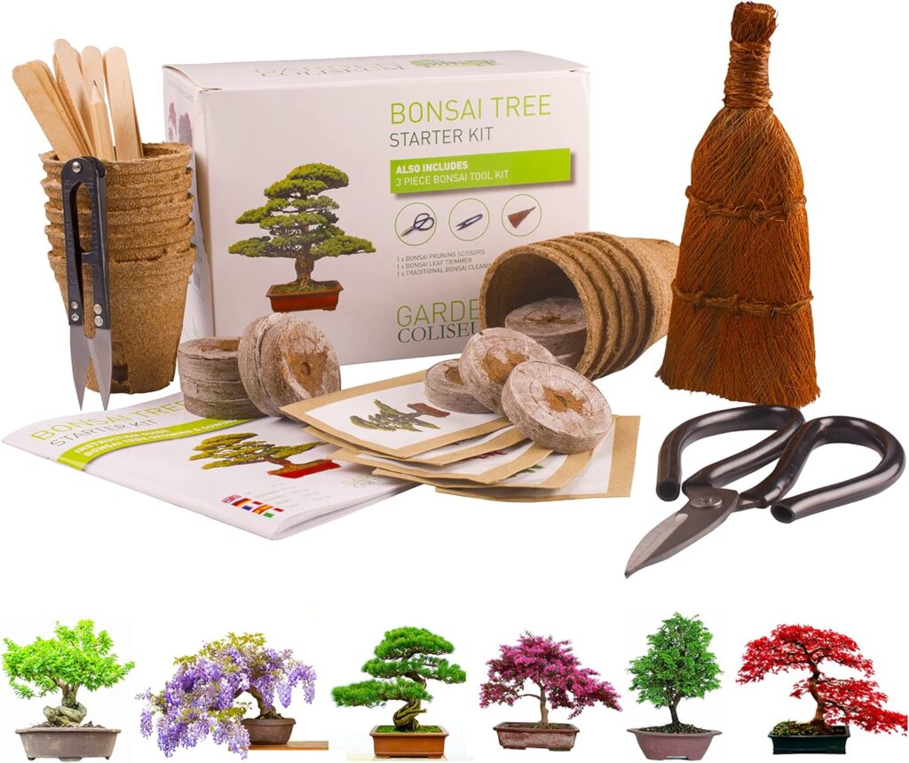 Bonsai tree starter kit with pots, soil discs, seeds, pruning shears, scissors, rake, broom, plant markers, instruction manual—all beautifully displayed with Elementor-style colorful images of bonsai trees below the kit. alwaysagift.co.uk