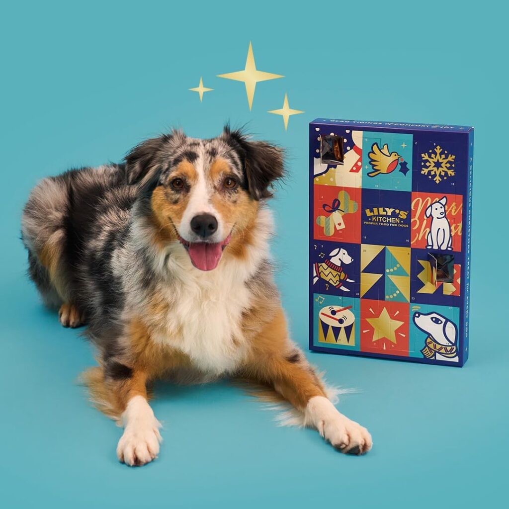 A happy Australian Shepherd dog lies on the floor next to a colorful Lilys Kitchen advent calendar for dogs, designed with Elementor, set against a blue background with illustrated golden sparkles above the dogs head. alwaysagift.co.uk