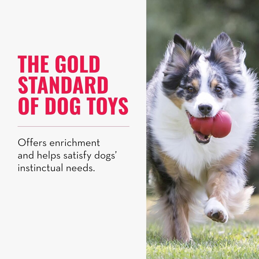 A happy Australian Shepherd dog runs on grass with a red chew toy in its mouth. Text reads: The Gold Standard of Dog Toys, designed for enrichment and instinctual needs—crafted with Elementor precision. alwaysagift.co.uk