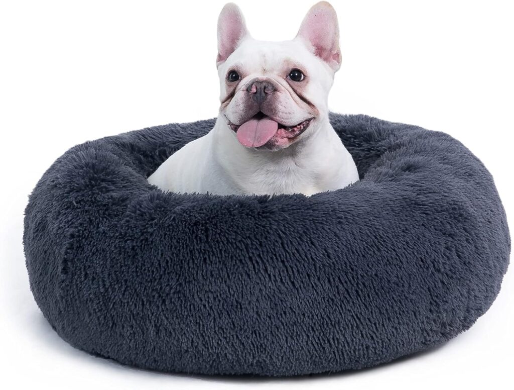 A happy white French bulldog sits in a round, fluffy, dark gray pet bed, looking upward with its tongue out—an adorable scene perfect for showcasing on your Elementor-powered website. alwaysagift.co.uk